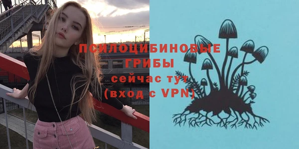 индика Кулебаки