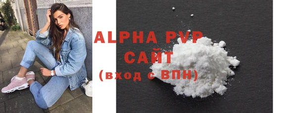 индика Кулебаки