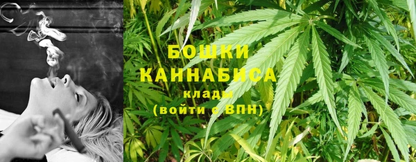 индика Кулебаки