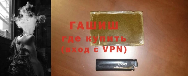 индика Кулебаки