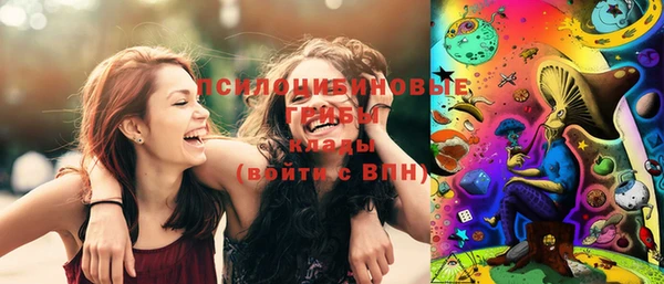 индика Кулебаки