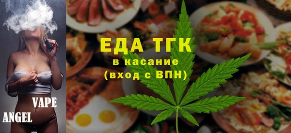 индика Кулебаки