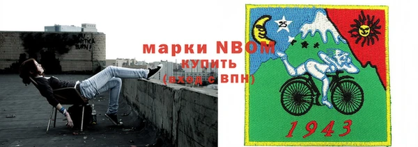 индика Кулебаки