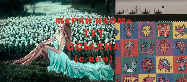 индика Кулебаки